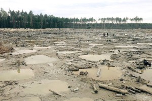 бурштин янтарь нелегалы старатели