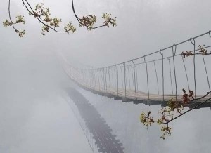 мост жизнь природа река